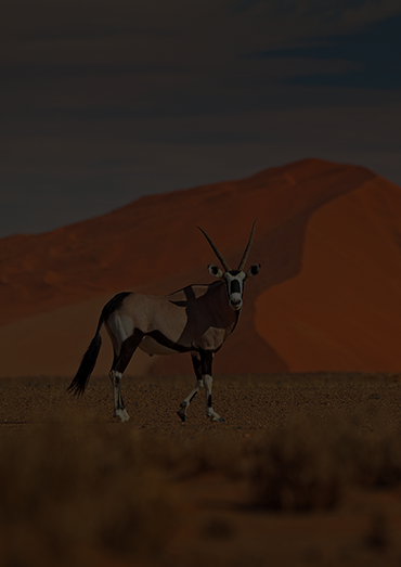 Namibie